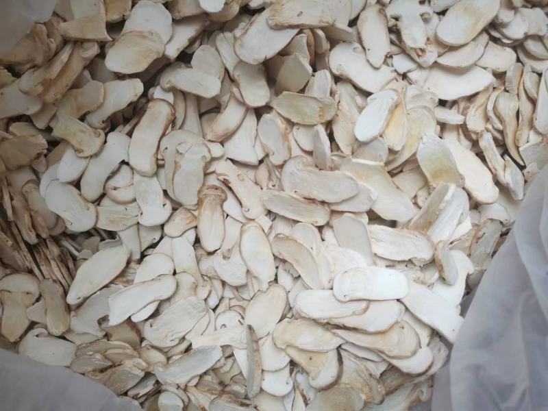 高品质松茸冻干片边带中，量大从优，产地直发