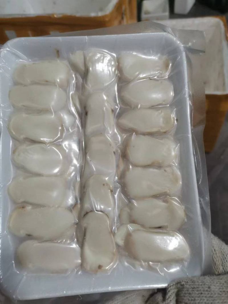 高品质松茸冻干片边带中，量大从优，产地直发