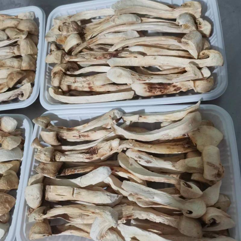 高品质松茸冻干条盒装，产地直发，量大从优