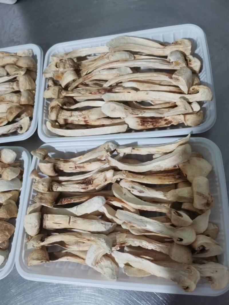 高品质松茸冻干条盒装，产地直发，量大从优