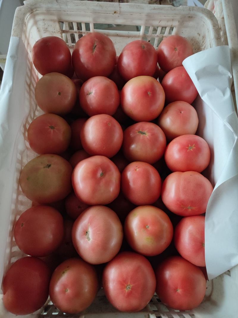 大量接单，上海社区团购订单。精装蔬菜包。
