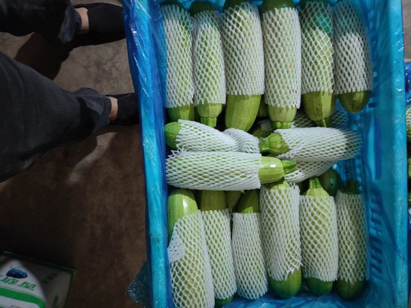 大量接单，上海社区团购订单。精装蔬菜包。