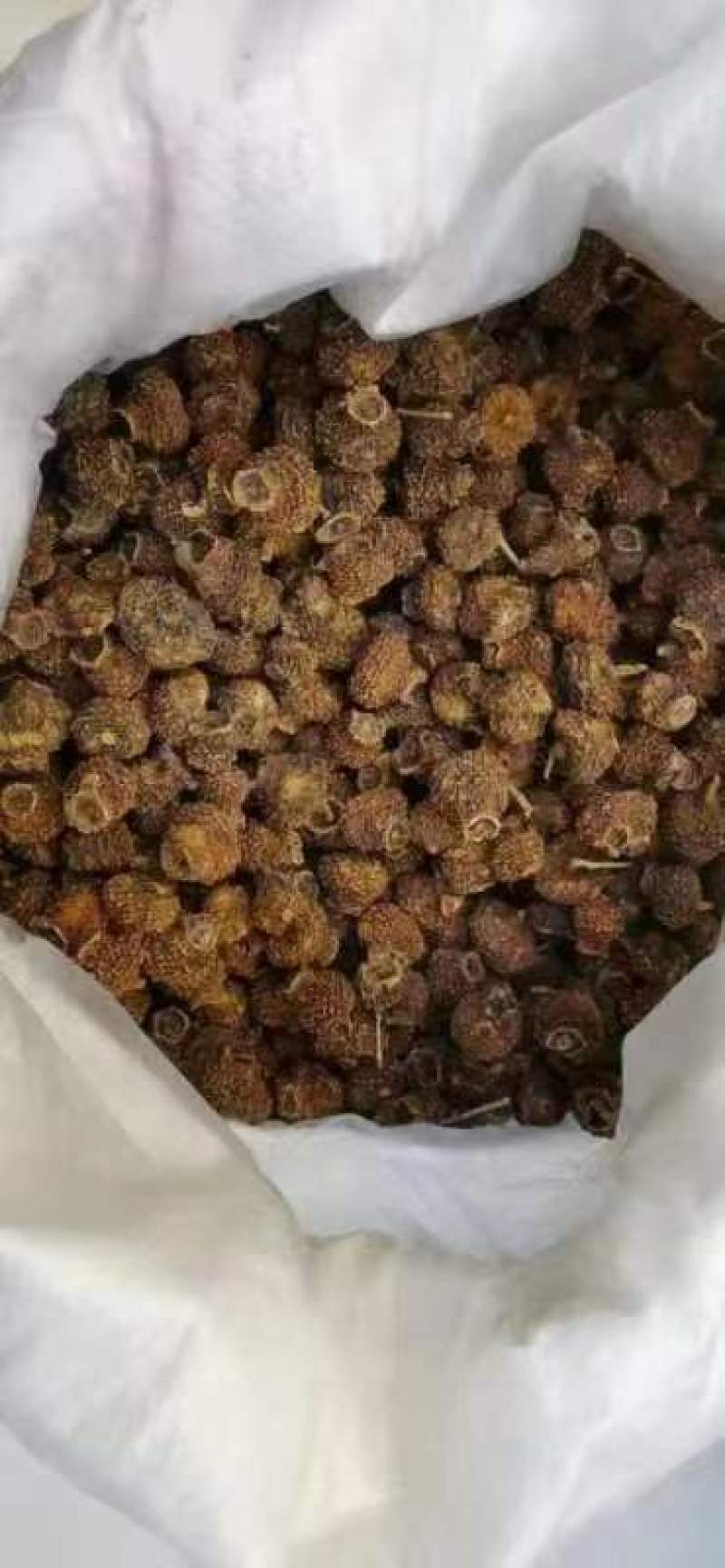 贵州刺梨干
