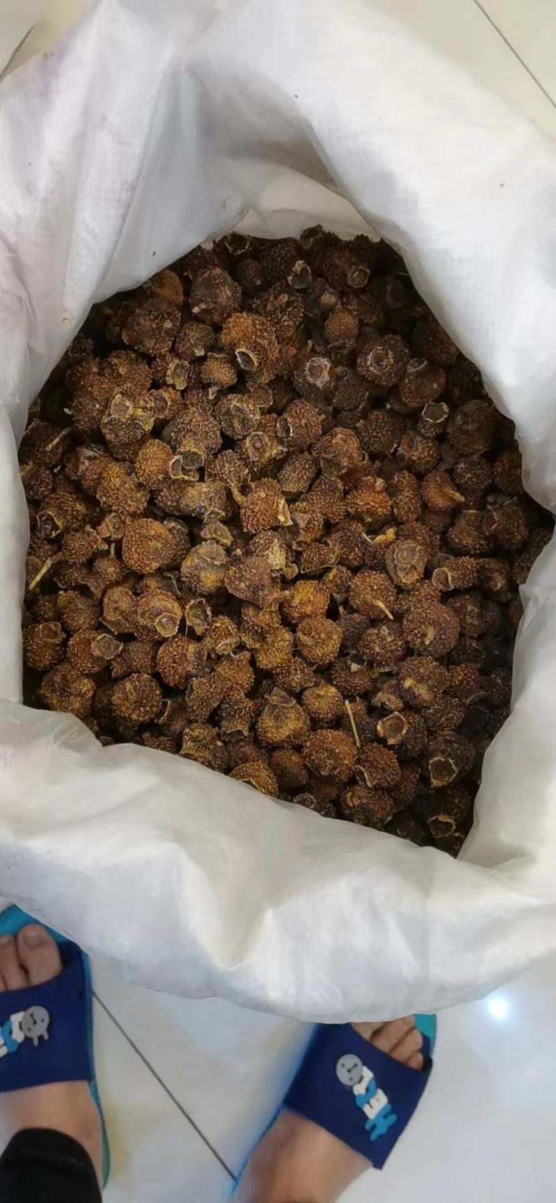 贵州刺梨干