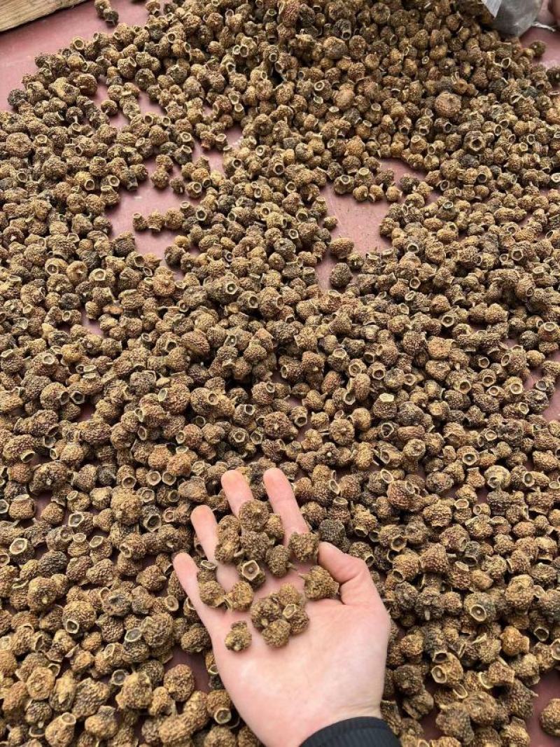 贵州刺梨干