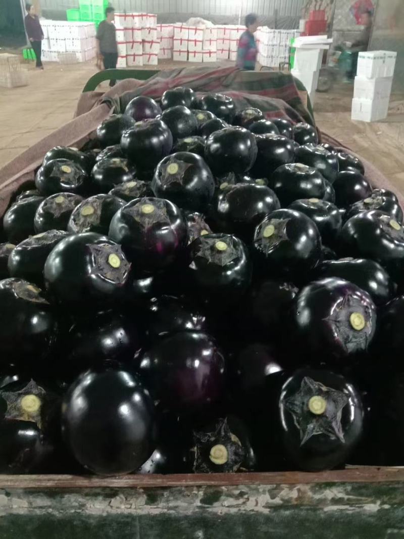 大量接单，品种齐全。质量保证，诚信合作。