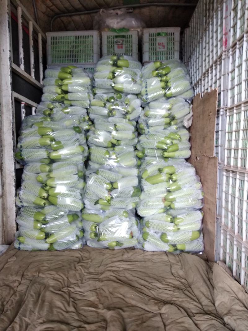 大量接单，品种齐全。质量保证，诚信合作。