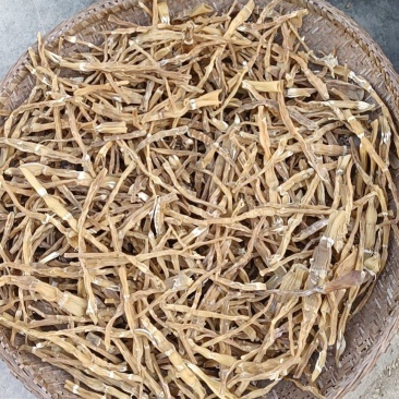 大山里的美味，风竹笋子炖肉吃嘎嘣爽！货源充足欢迎选购