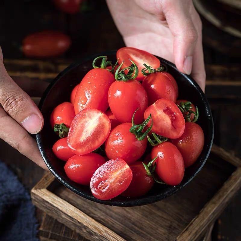 云南千禧圣女果现摘小番茄一件代发价格优惠质量保证