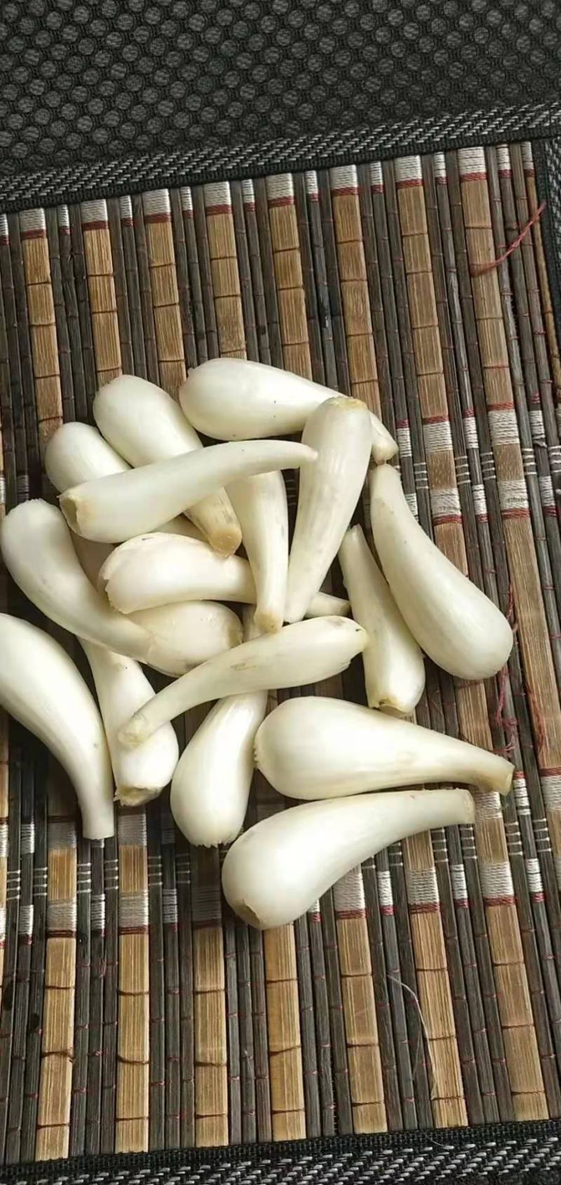 马家绿色蔬菜藠头
