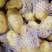 山东土豆产/荷兰十五土豆价格/土豆产地直销，支持全国发货