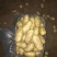 山东土豆产/荷兰十五土豆价格/土豆产地直销，支持全国发货