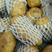 山东土豆产/荷兰十五土豆价格/土豆产地直销，支持全国发货