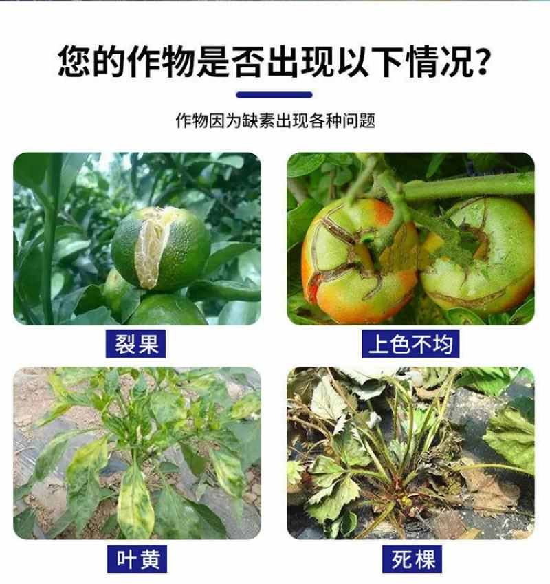 海藻多肽鱼蛋白高效叶面肥一喷绿生根壮苗膨果增产蔬菜果树冲