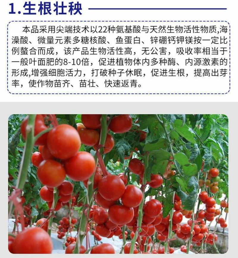 海藻多肽鱼蛋白高效叶面肥一喷绿生根壮苗膨果增产蔬菜果树冲