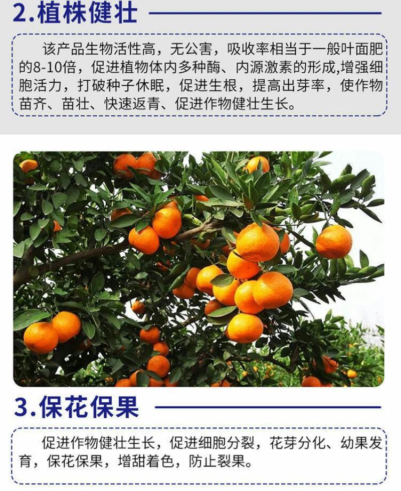 海藻多肽鱼蛋白高效叶面肥一喷绿生根壮苗膨果增产蔬菜果树冲