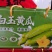 11.22号口感特别脆甜！海阳水果白玉黄瓜，价格低