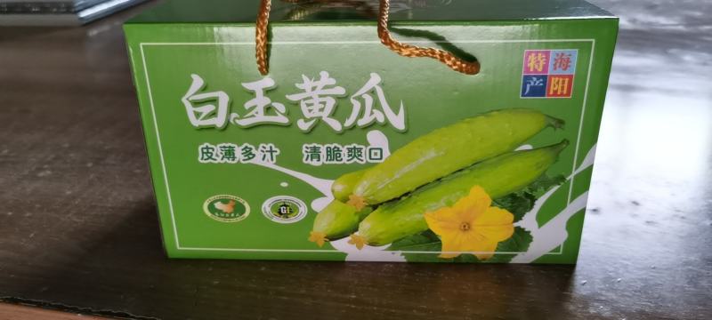 11.22号口感特别脆甜！海阳水果白玉黄瓜，价格低