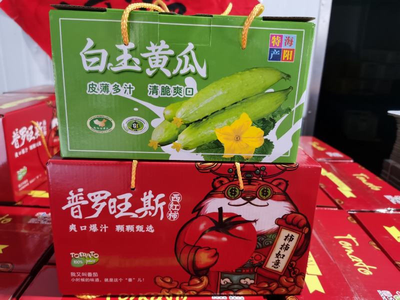 11.22号口感特别脆甜！海阳水果白玉黄瓜，价格低