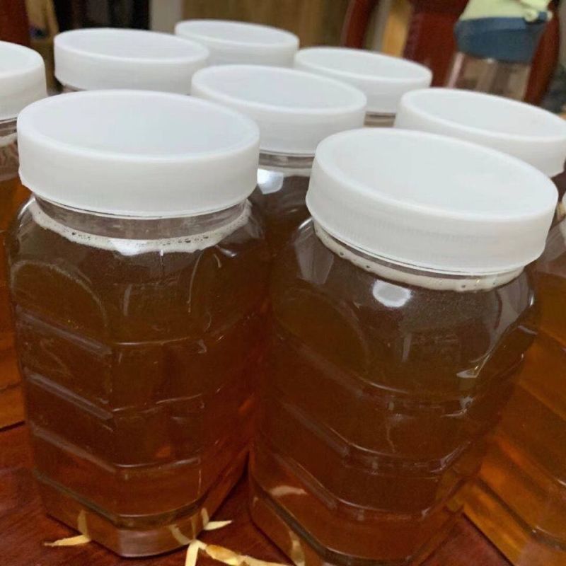真金不怕火炼好蜜不怕检验龙眼蜜荔枝蜜百花蜜10斤
