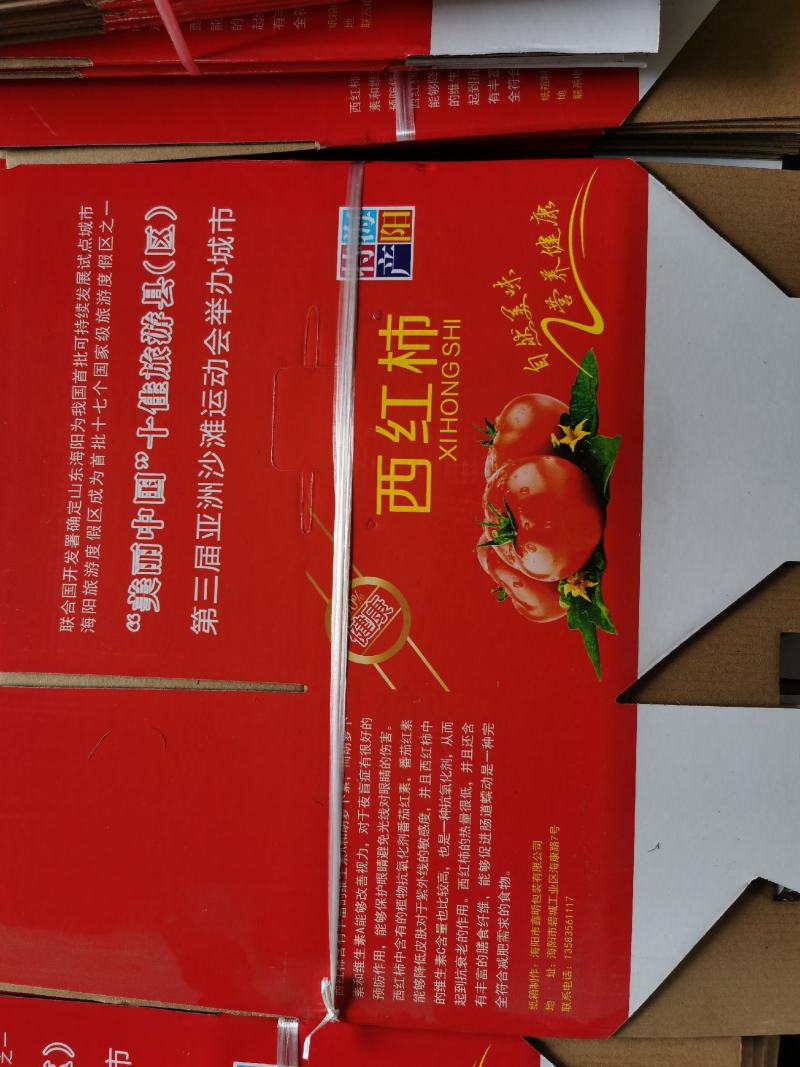 山东海阳普罗旺西红柿！商超社区团购整车发货！可一件代发