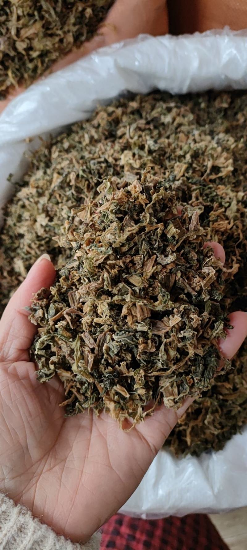 浙江梅干菜，干净无沙，口感好，大量供应，量大从优欢迎下单