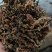 浙江梅干菜，干净无沙，口感好，大量供应，量大从优欢迎下单