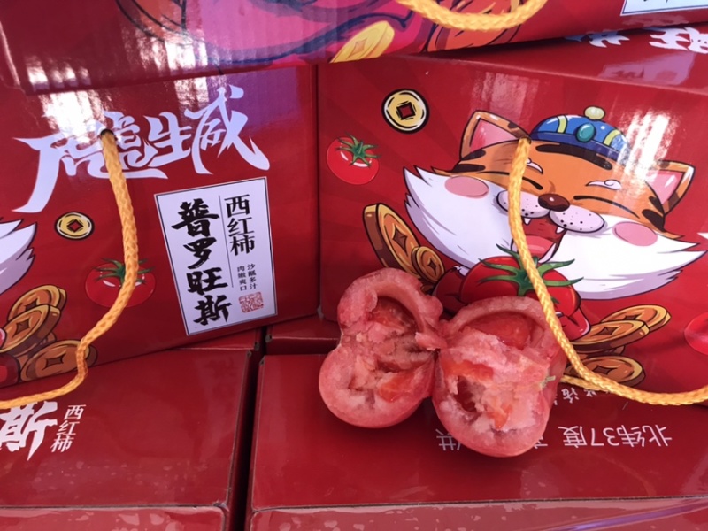 海阳普罗旺斯西红柿，现摘现发，新鲜上市，质量保证