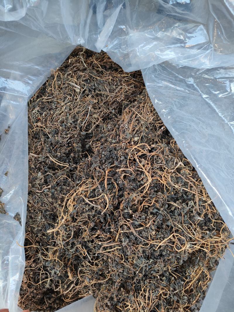 农家马齿苋，乡里野菜，可以吃可以做药材，价格不贵欢迎下单