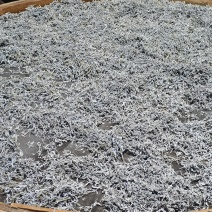 【藤茶】湖南精品藤茶正宗龙须茶质量保证欢迎采购
