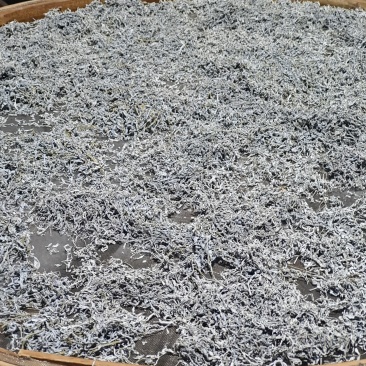 【藤茶】湖南精品藤茶正宗龙须茶质量保证欢迎采购