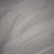 虫沙，大麦虫虫沙，蛋白虫粪《收购》与批发。