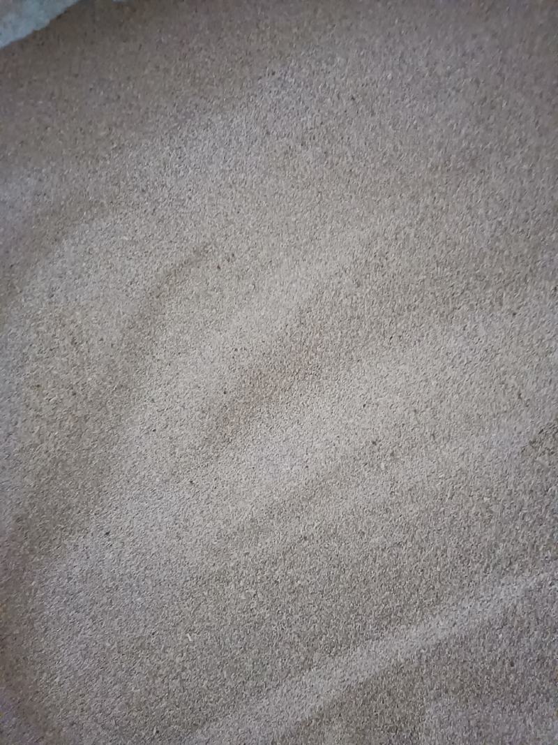 虫沙，大麦虫虫沙，蛋白虫粪《收购》与批发。
