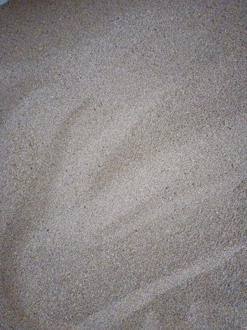 虫沙，大麦虫虫沙，蛋白虫粪《收购》与批发。