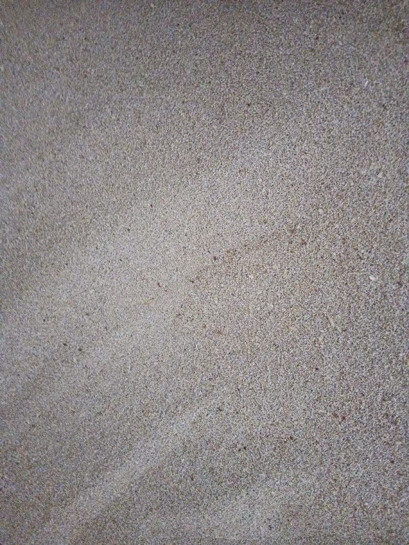 虫沙，大麦虫虫沙，蛋白虫粪《收购》与批发。