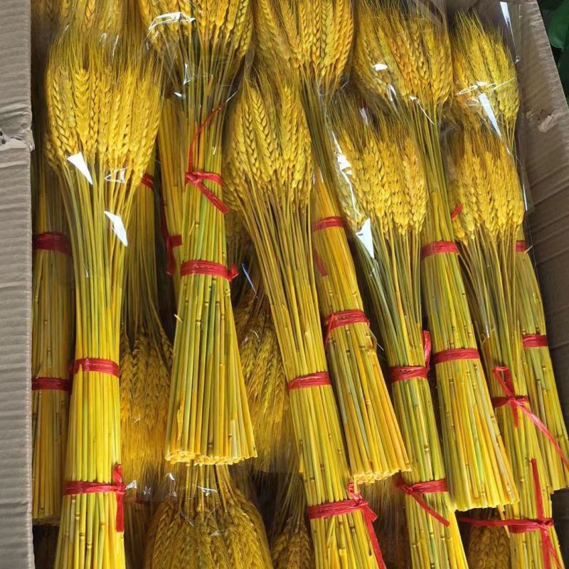 黄金麦穗干花摆件大麦花束客厅摆设电视柜装饰品金色花瓶开业