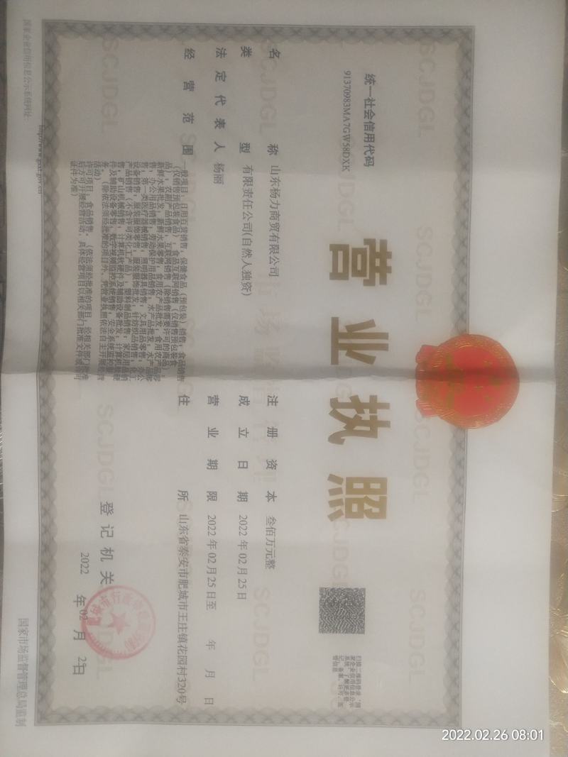 肥城大棚荷兰十五土豆大量上市，货源充足，品质保证，全国发