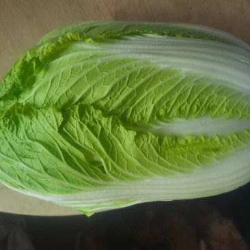 出售黄心大白菜