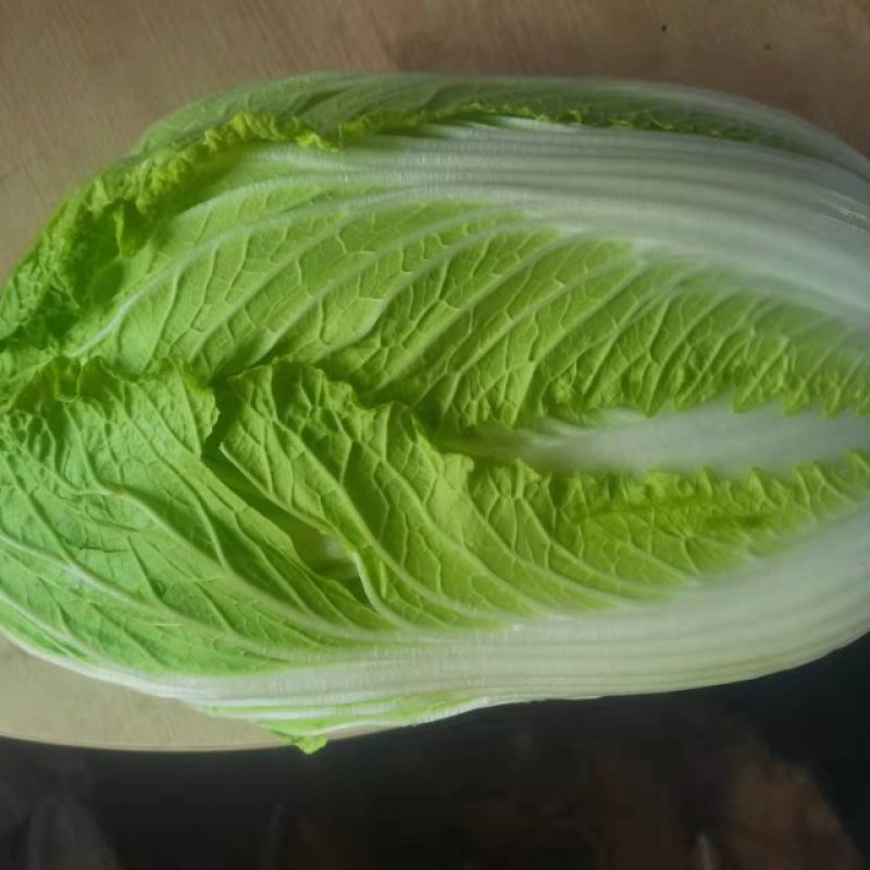 出售黄心大白菜