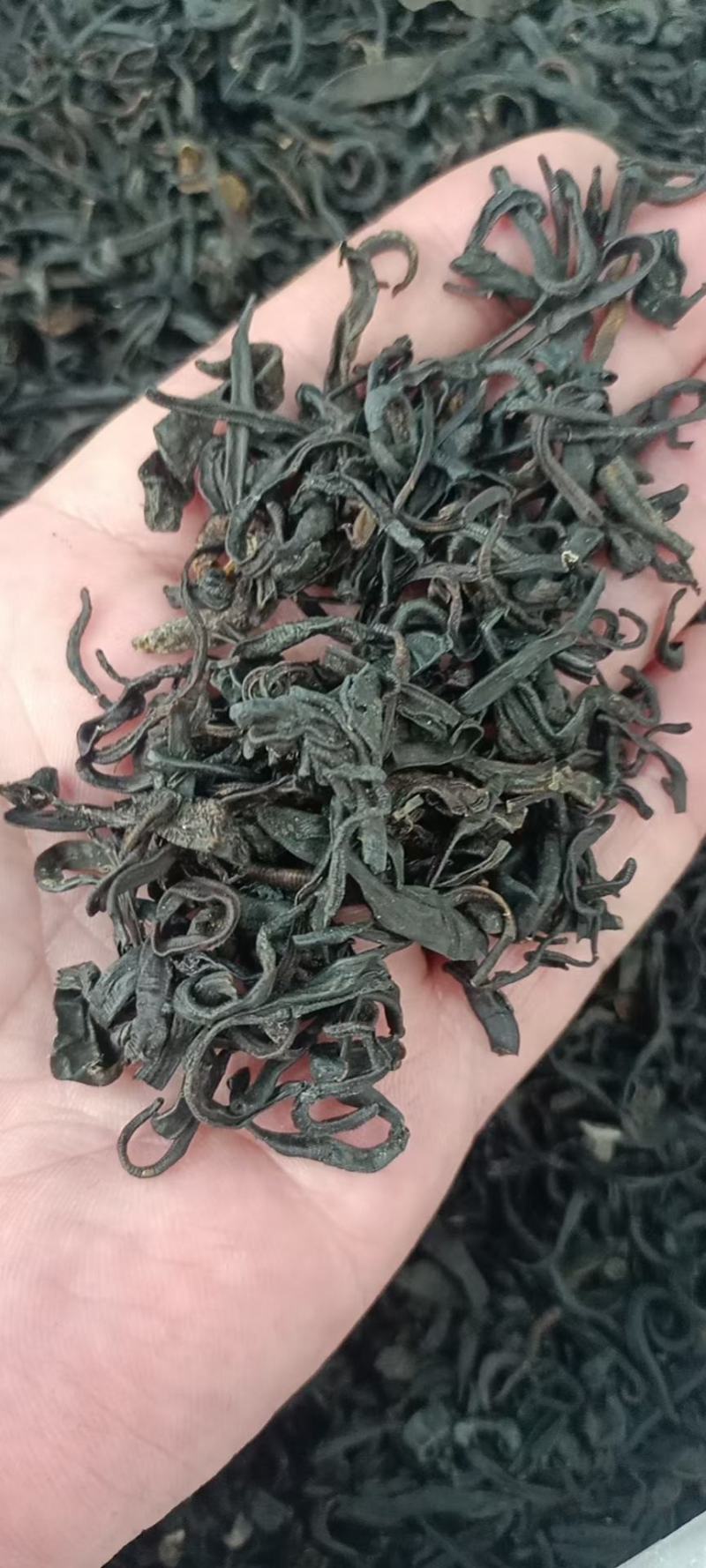 水蛭干货黑条水蛭常年经营各种中药材
