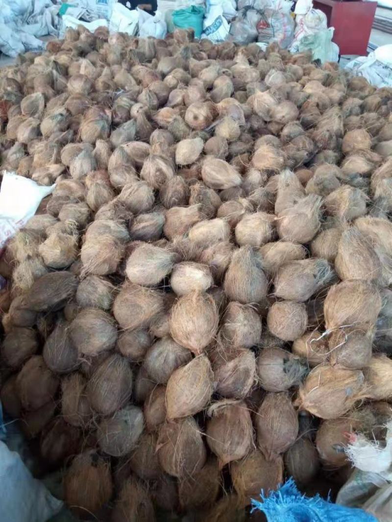 马来西亚混合糖，现货，直签。