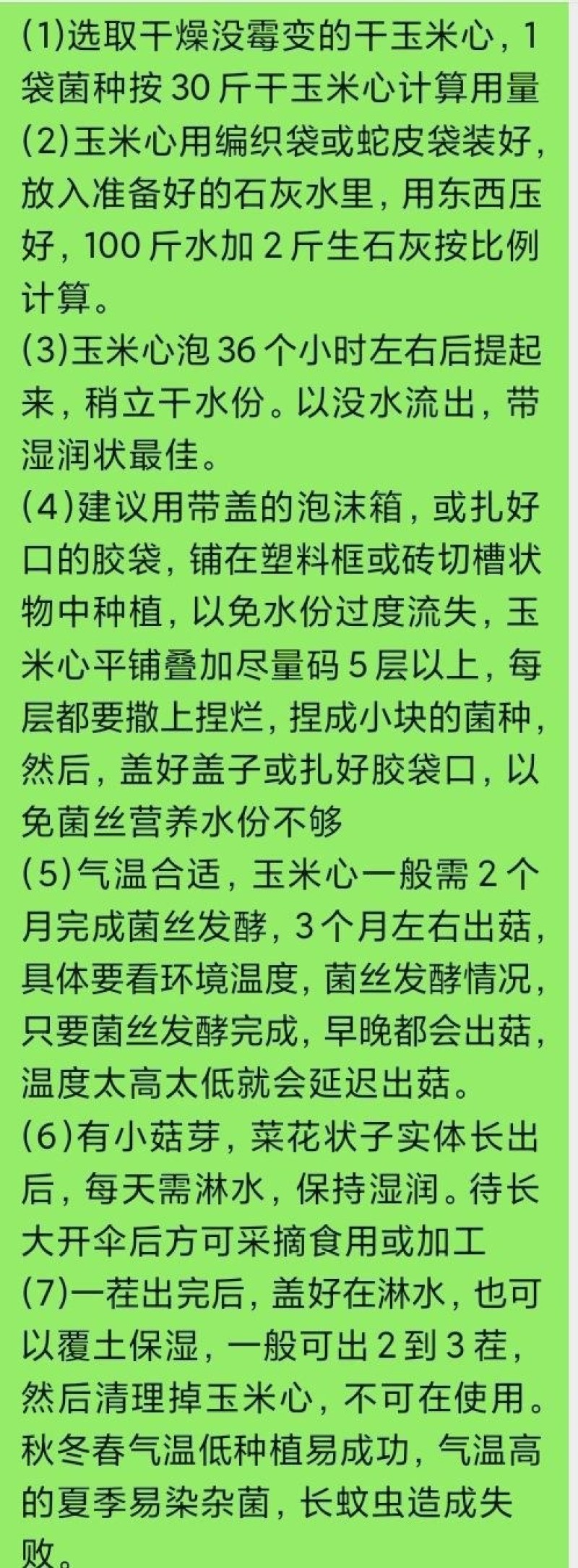 种玉米心平菇菌种种玉米的平菇栽培种包