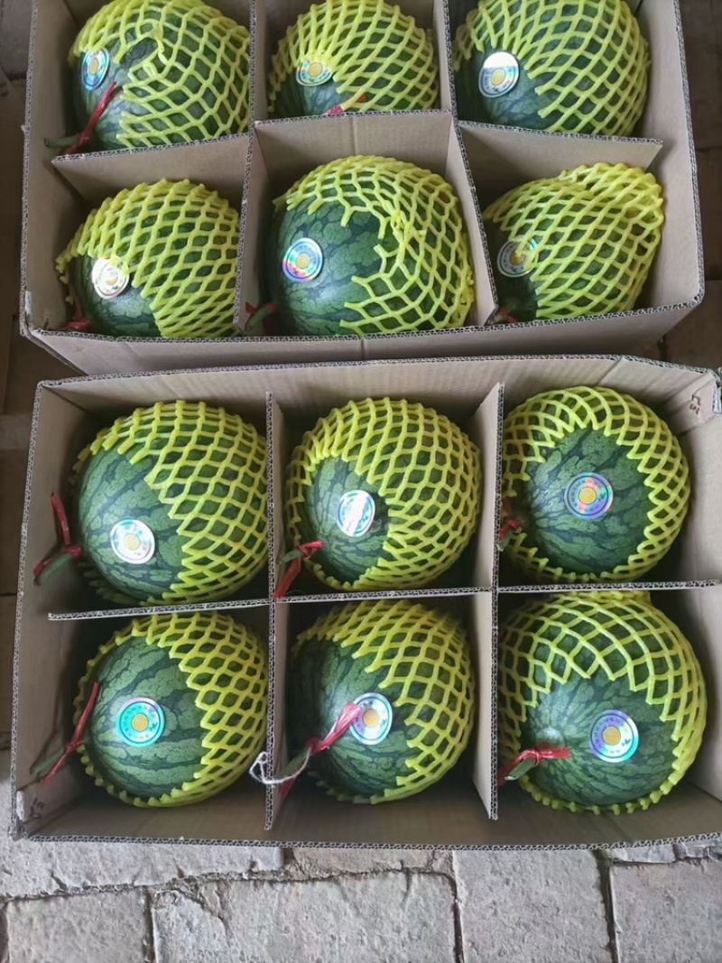 精品仁风富硒西瓜