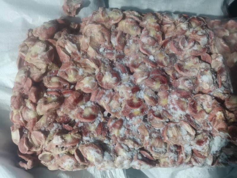 红毛蛋鸡鸡胗