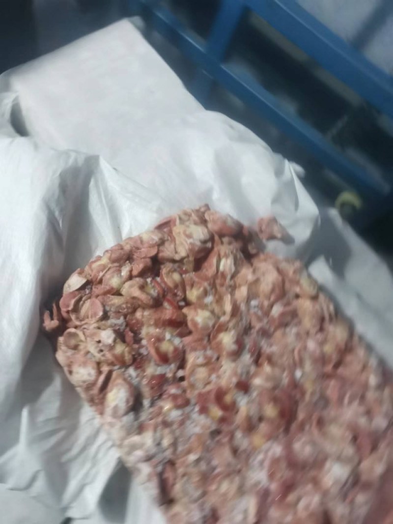 红毛蛋鸡鸡胗