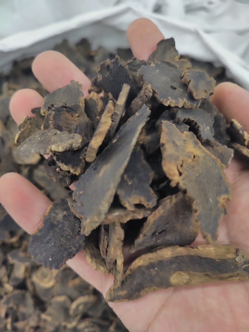 野生玄参中药材玄参粉玄参中药材玄参中药材玄参片玄参