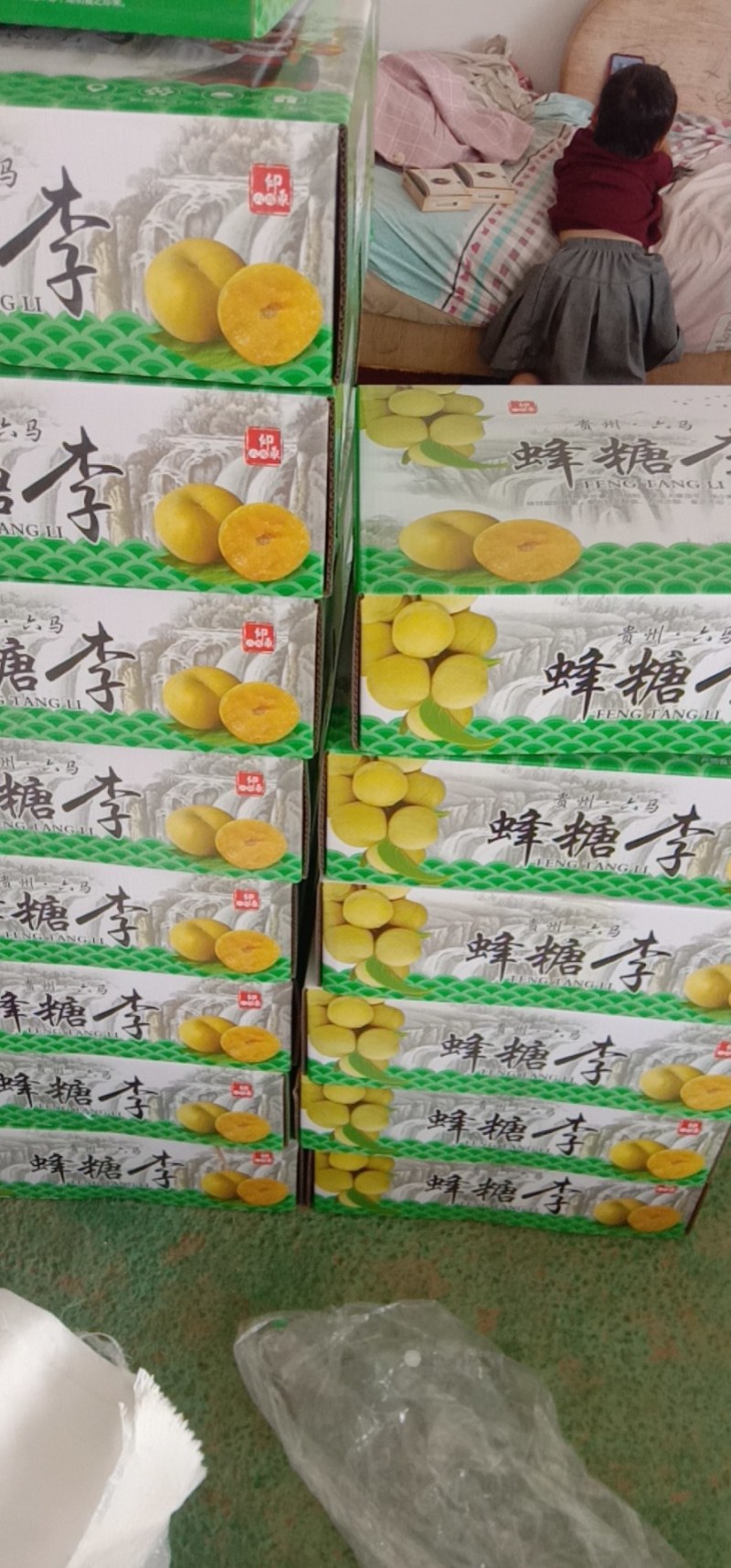 六马蜂糖李_青脆李