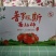 【高碑店新发地-乐航商贸】精品普罗旺斯水果西红柿