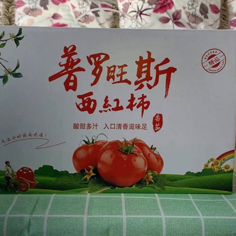 【高碑店新发地-乐航商贸】精品普罗旺斯水果西红柿