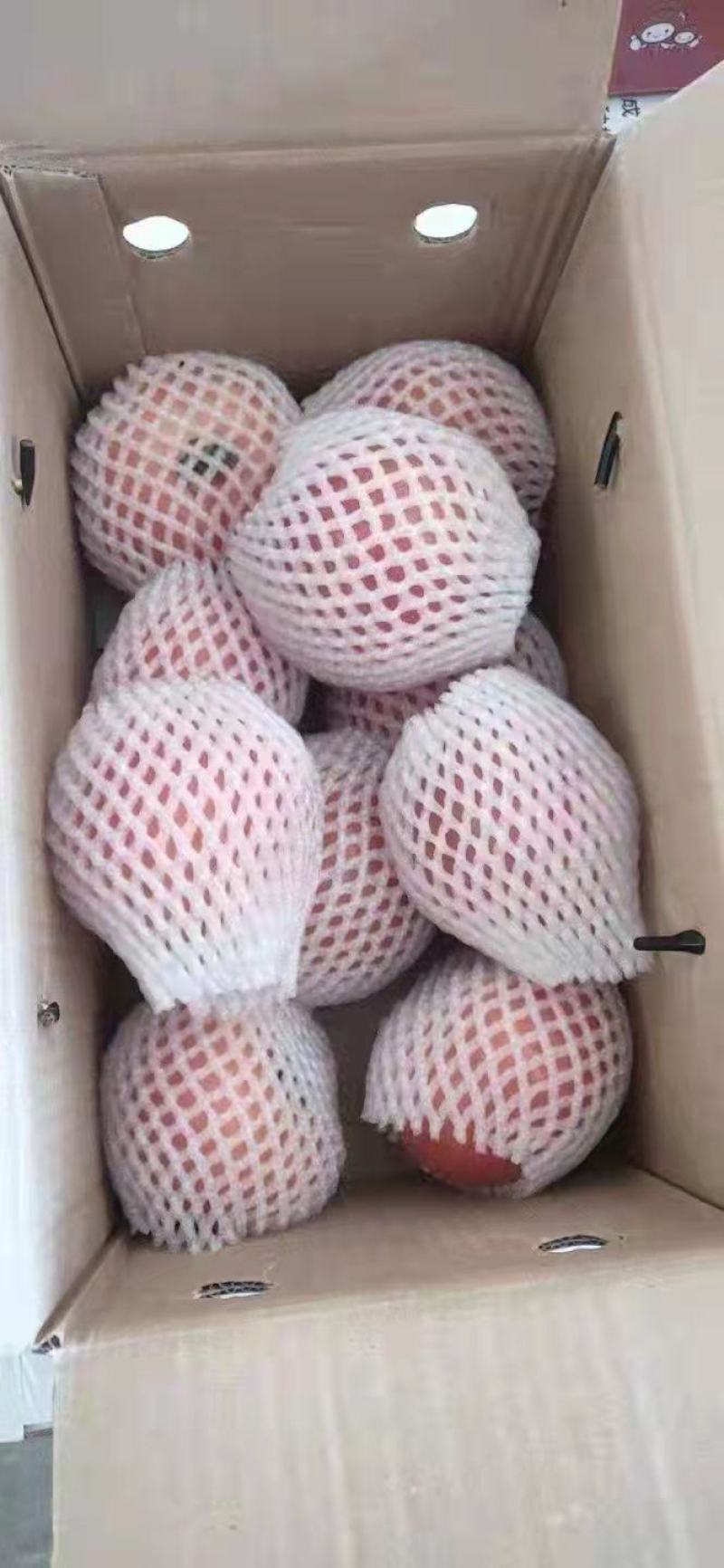 【高碑店新发地-乐航商贸】精品普罗旺斯水果西红柿